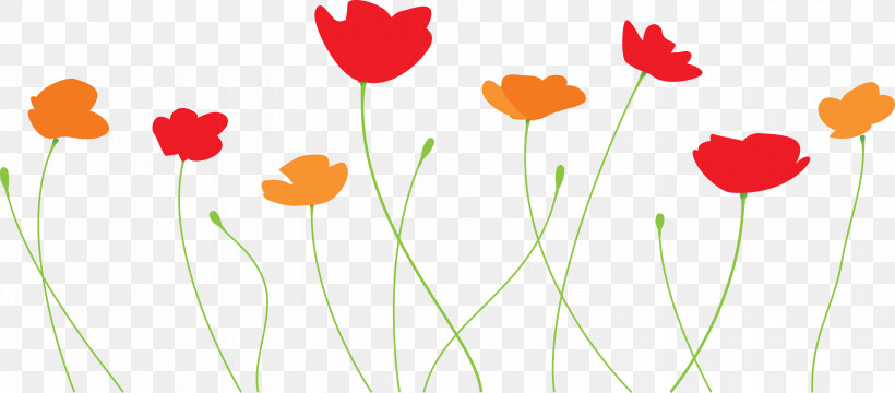 Poppy Flower, PNG, 3000x1320px, Poppy Flower, Coquelicot, Corn Poppy, Flower, Pedicel Download Free