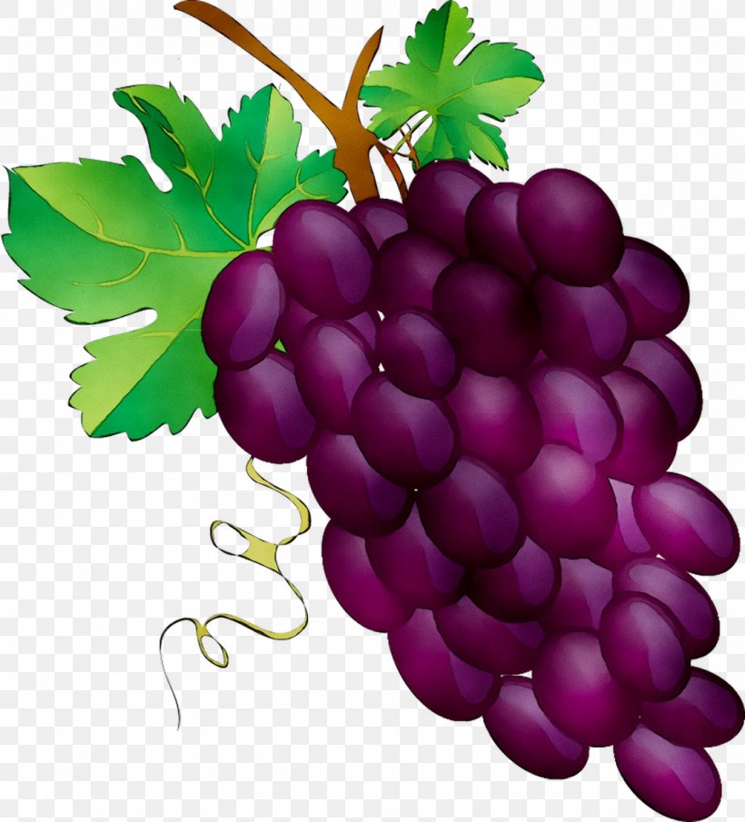Sultana Grove Winery Camelot Cellars Winery Corban Experience, PNG, 1079x1191px, Sultana, Berry, Flower, Flowering Plant, Food Download Free