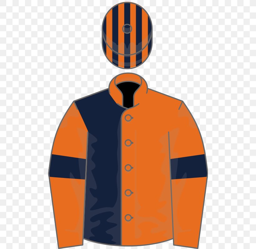 Thoroughbred Horse Racing Epsom Oaks The Grand National Casual Look, PNG, 512x799px, Thoroughbred, Casual Look, Epsom Oaks, Grand National, Horse Download Free
