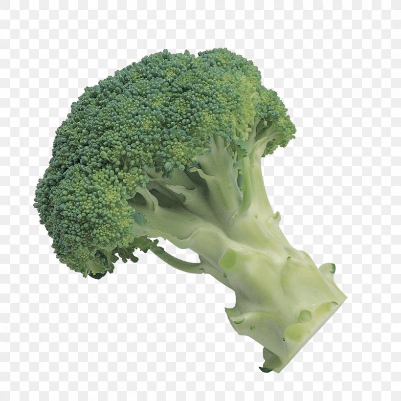 Broccoli Slaw Vegetable Clip Art, PNG, 1000x1000px, Broccoli Slaw, Broccoli, Cabbage, Carrot, Cauliflower Download Free