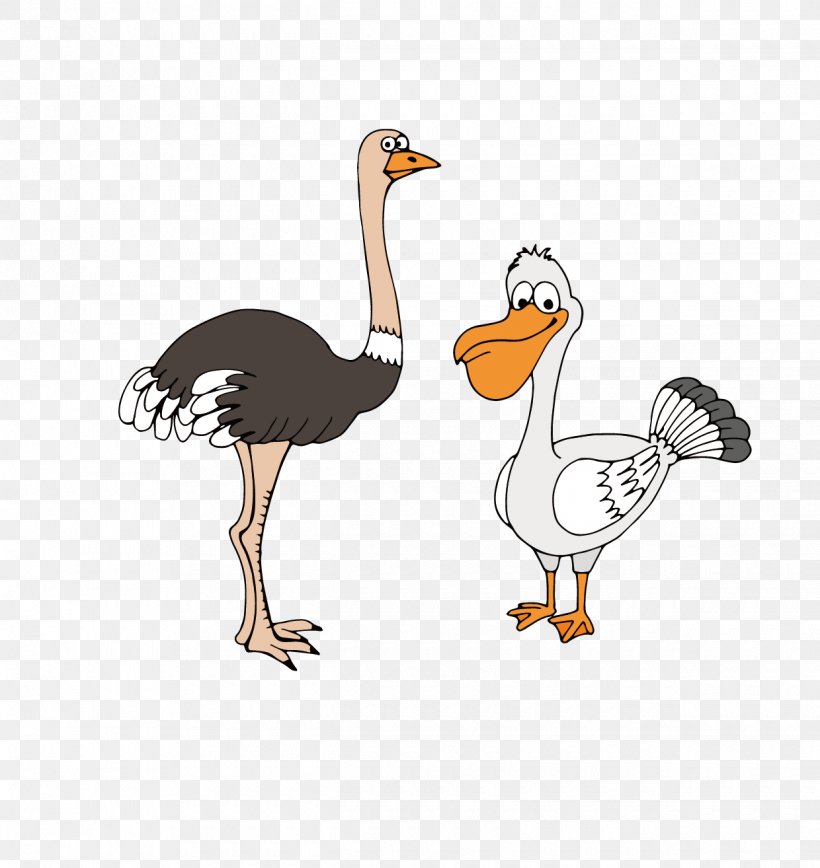 Common Ostrich Bird Gulls Cartoon Drawing, PNG, 1240x1314px, Common Ostrich, Animal, Beak, Bird, Cartoon Download Free