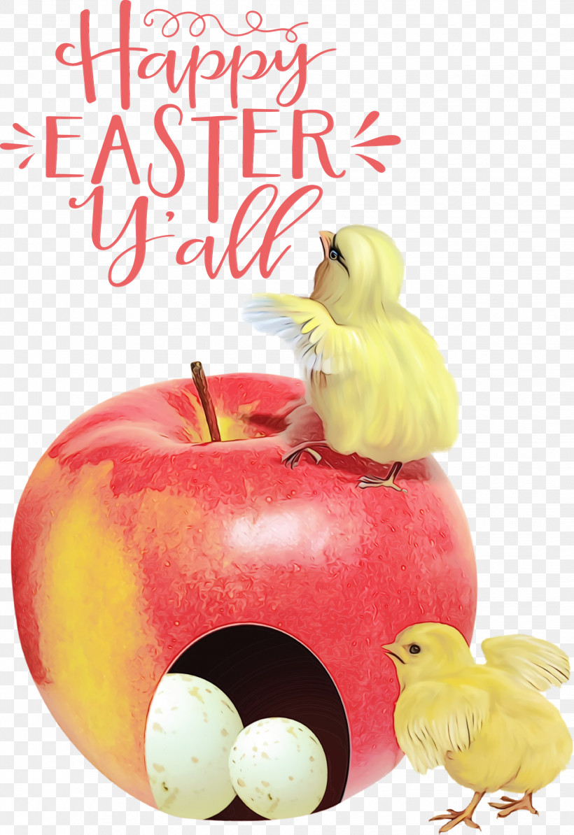 Email Can I Go To The Washroom Please? Iphone, PNG, 2059x3000px, Happy Easter, App Store, Apple, Bill Wurtz, Can I Go To The Washroom Please Download Free