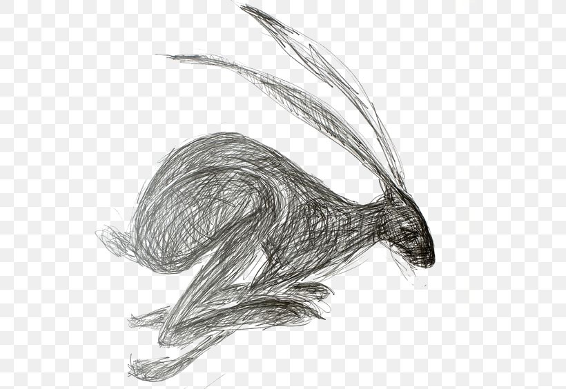 European Hare Drawing Rabbit Watercolor Painting Art, PNG, 564x564px, European Hare, Art, Artwork, Bird, Black And White Download Free