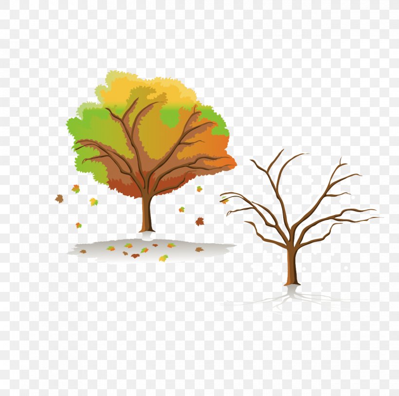 Four Seasons Hotels And Resorts Tree Clip Art, PNG, 1240x1232px, Four Seasons Hotels And Resorts, Autumn, Branch, Leaf, Plant Download Free