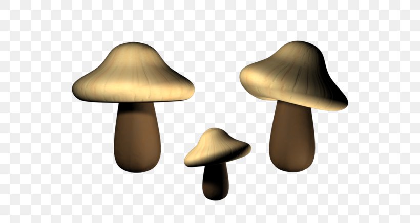 Fungus Mushroom Cloud, PNG, 600x436px, Fungus, Designer, Hat, Mushroom, Mushroom Cloud Download Free