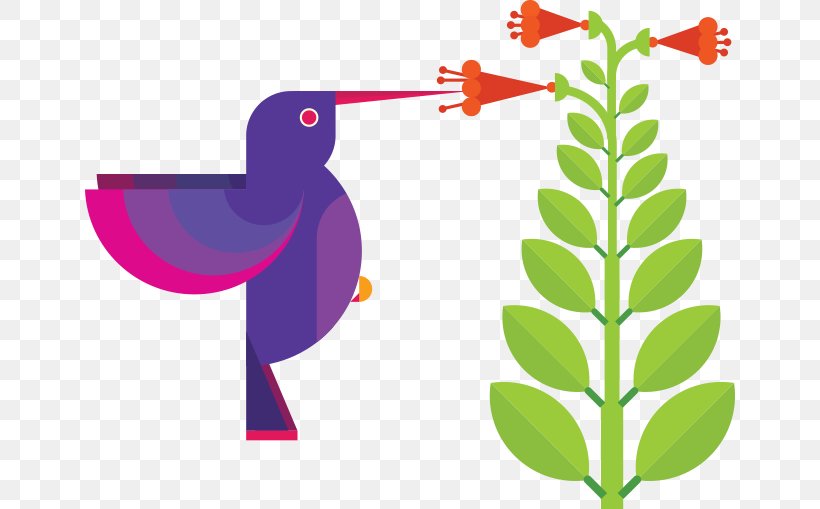 Graphic Design Hummingbird, PNG, 650x509px, Hummingbird, Beak, Bird, Branch, Flora Download Free