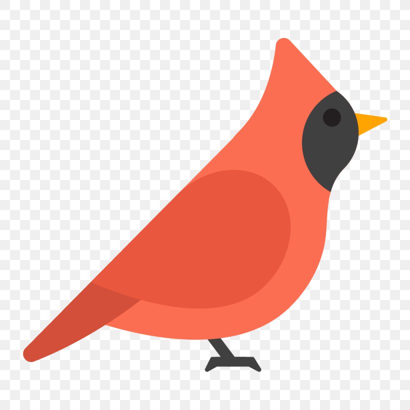Cardinal Bird, PNG, 1025x1025px, Bird, Beak, Bird Houses, Bird Nest, Cardinal Download Free