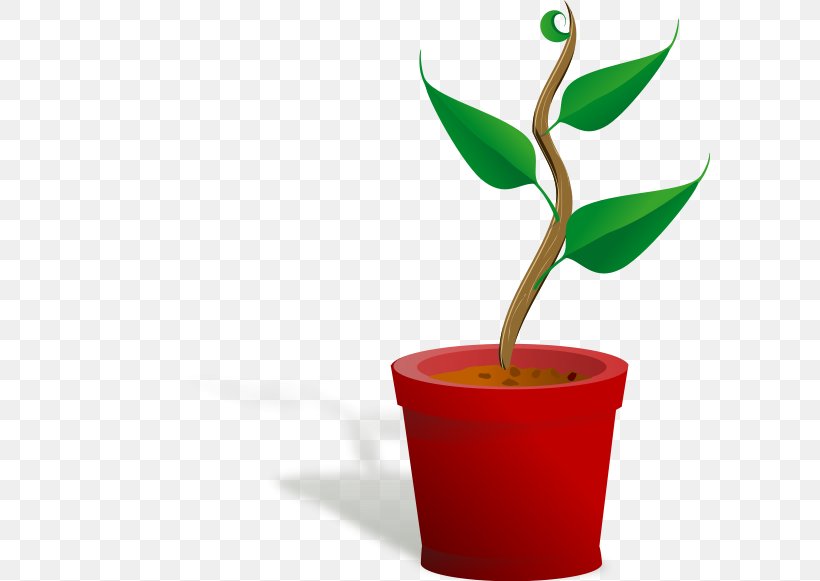 Houseplant Clip Art, PNG, 600x581px, Plant, Botany, Cup, Drawing, Flower Download Free