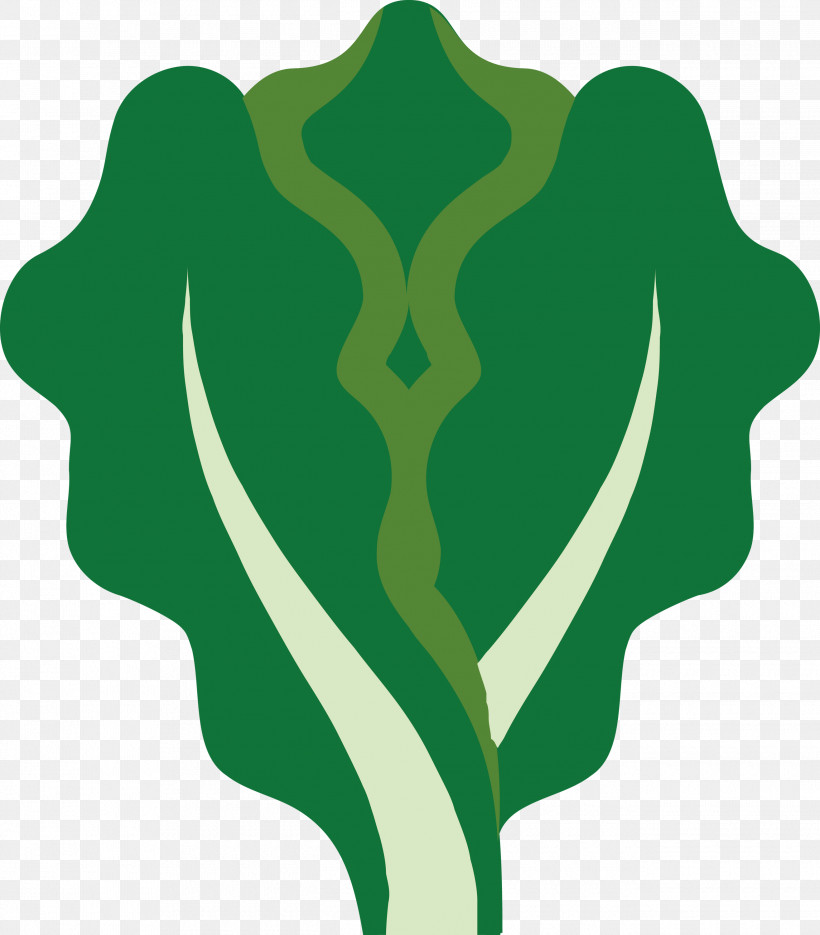 Lettuce, PNG, 2630x3000px, Lettuce, Green, Leaf, Logo, Plant Download Free