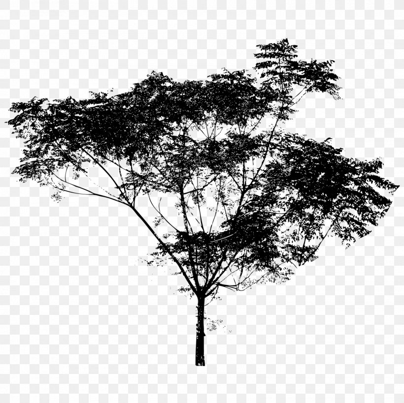 Royalty-free Tree Drawing, PNG, 1600x1600px, Royaltyfree, Black And White, Bonsai, Branch, Drawing Download Free