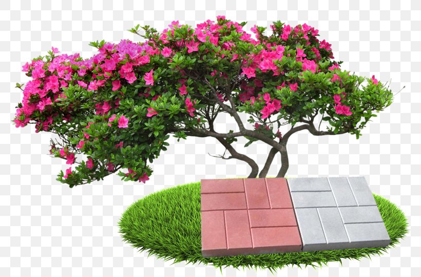 Shrub Tree Topiary, PNG, 780x539px, Shrub, Animation, Fashion, Flora, Flower Download Free