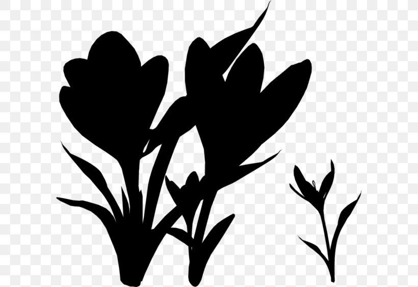 Twig Plant Stem Leaf Clip Art Silhouette, PNG, 600x563px, Twig, Black M, Blackandwhite, Botany, Branch Download Free
