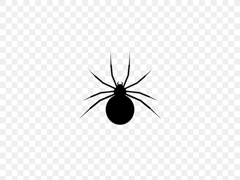 Widow Spiders Insect Invertebrate Black, PNG, 614x614px, Spider, Animal, Arachnid, Arthropod, Black Download Free