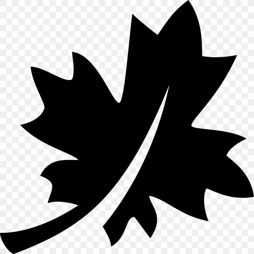 Maple Leaf Canada, PNG, 1600x1600px, Maple Leaf, Artwork, Black, Black And White, Canada Download Free
