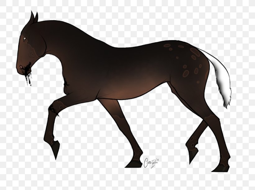 Mustang Foal Stallion Rein Mare, PNG, 800x611px, Mustang, Animal Figure, Bridle, Colt, English Riding Download Free