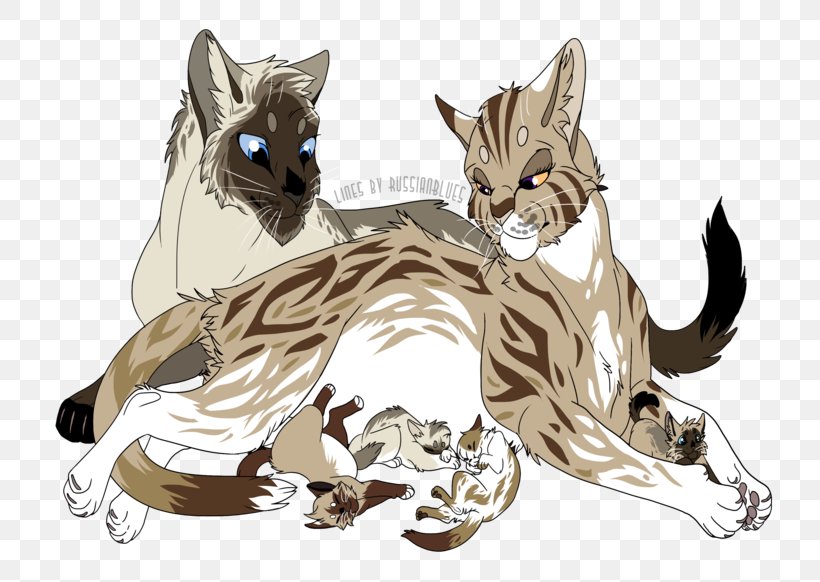 Whiskers Kitten Wildcat Felidae, PNG, 800x582px, Whiskers, Art, Artist, Canidae, Carnivoran Download Free