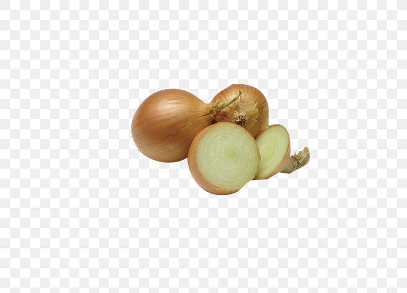 Chutney Shallot Marmalade Vegetable Yellow Onion, PNG, 591x591px, Chutney, Allium Fistulosum, Bulb, Food, Fried Onion Download Free