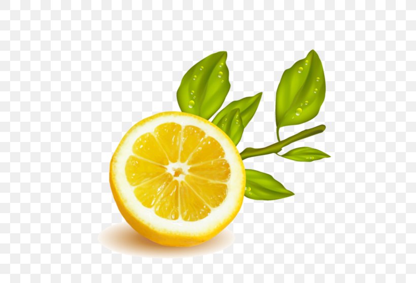 Lemon-lime Drink Rangpur Citrus Junos, PNG, 600x558px, Lemon, Bitter Orange, Citric Acid, Citron, Citrus Download Free