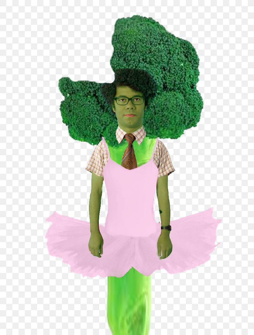 The IT Crowd Character Costume Leaf Fiction, PNG, 720x1080px, It Crowd, Character, Costume, Fiction, Fictional Character Download Free