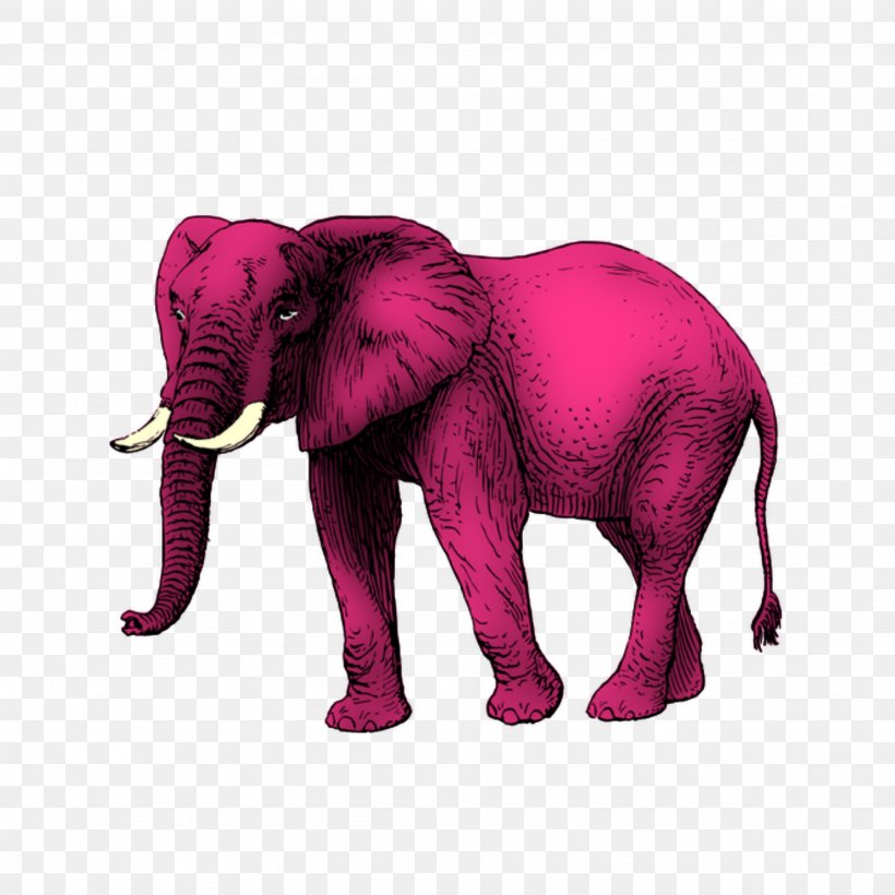 African Elephant Free Clip Art, PNG, 2048x2048px, African Elephant, Animal Figure, Elephant, Elephants And Mammoths, Fauna Of Africa Download Free