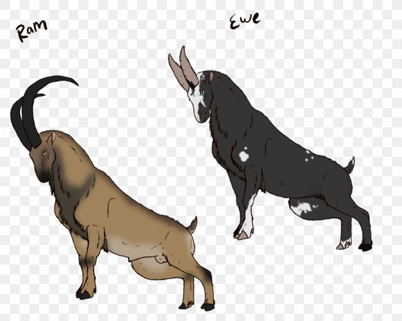 Dog Goat Alpine Ibex Horse Cattle, PNG, 999x799px, Dog, Alpine Ibex, Art, Artist, Breed Download Free