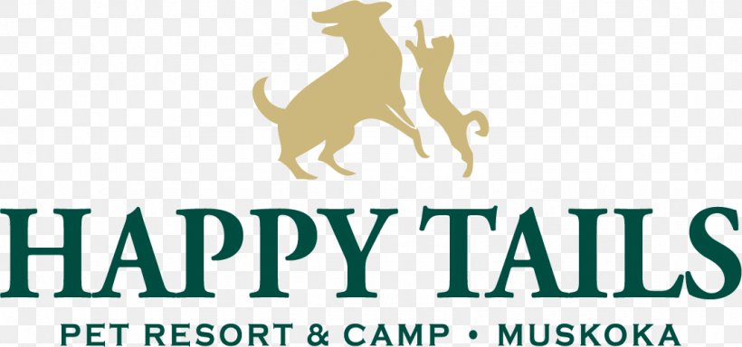 Happy Tails Pet Resort & Camp Amarillo Pedicure Money Capital, PNG, 1074x503px, Amarillo, Brand, Capital, Carnivoran, Dog Like Mammal Download Free