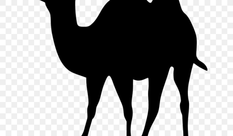 Indian Elephant, PNG, 640x480px, Camel, Arabian Camel, Beak, Bird, Black Download Free