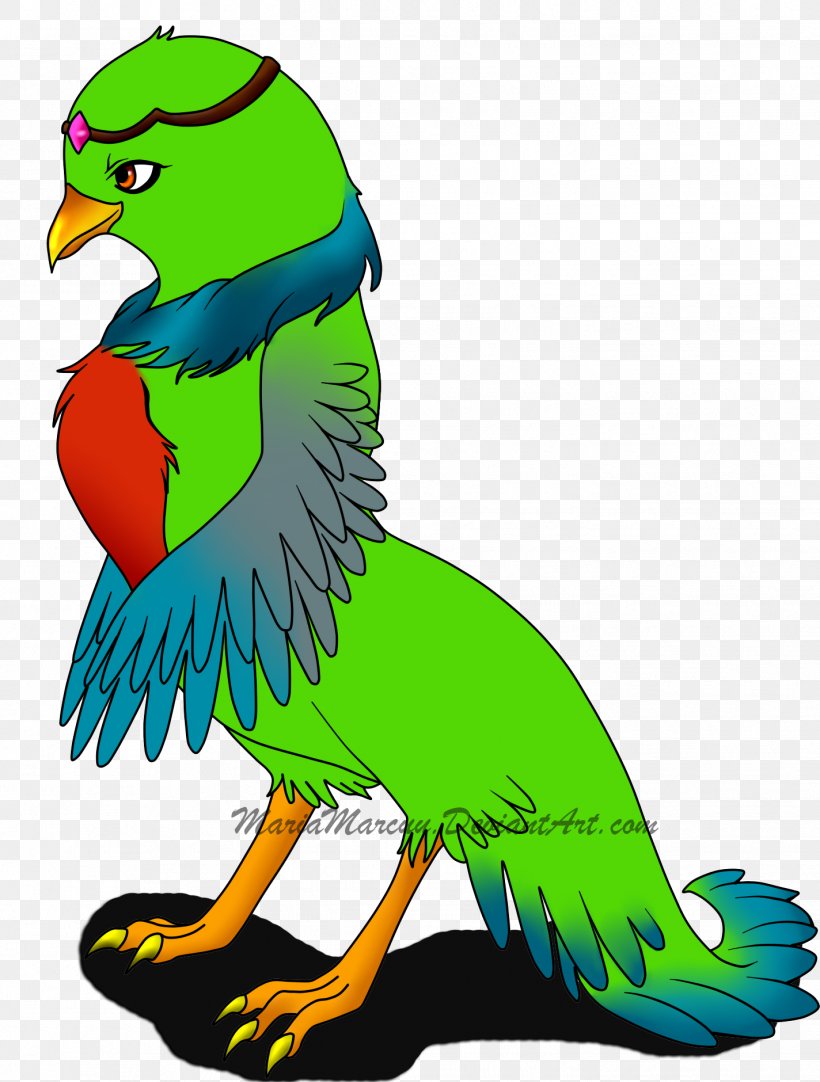 Macaw Clip Art Illustration Parakeet Beak, PNG, 1424x1880px, Macaw, Art, Artwork, Beak, Bird Download Free