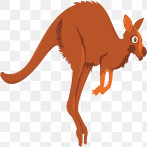 Red Kangaroo Cartoon Clip Art, PNG, 850x1000px, Red Kangaroo, Boxing ...