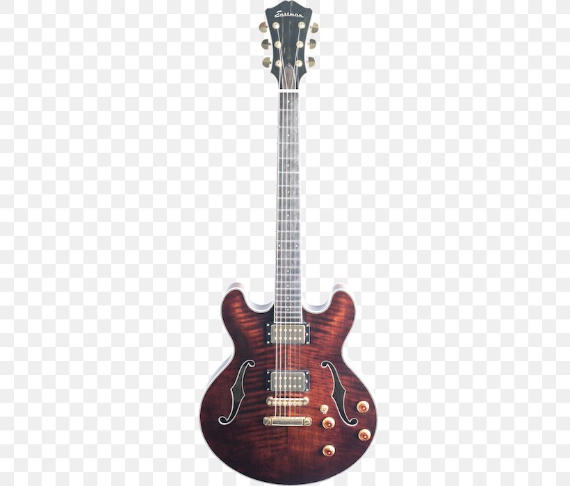 Electric Guitar Baritone Guitar Archtop Guitar Semi-acoustic Guitar, PNG, 700x700px, Guitar, Acoustic Electric Guitar, Acoustic Guitar, Archtop Guitar, Baritone Guitar Download Free
