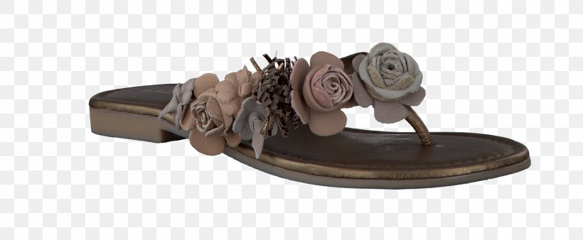 Flip-flops Shoe Boot Leather Sandal, PNG, 1500x619px, Flipflops, Beige, Boot, Bronze, Brown Download Free