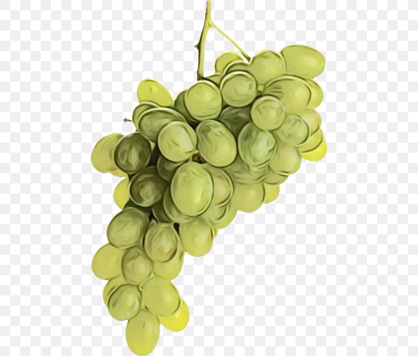Grape Cartoon, PNG, 464x699px, Sultana, Extract, Flower, Food, Fruit Download Free
