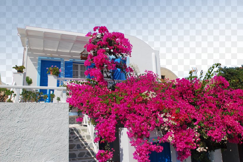 Aegean Sea Greece Wall Landscape Architecture, PNG, 1046x700px, Aegean Sea, Annual Plant, Architectural Style, Architecture, Building Download Free