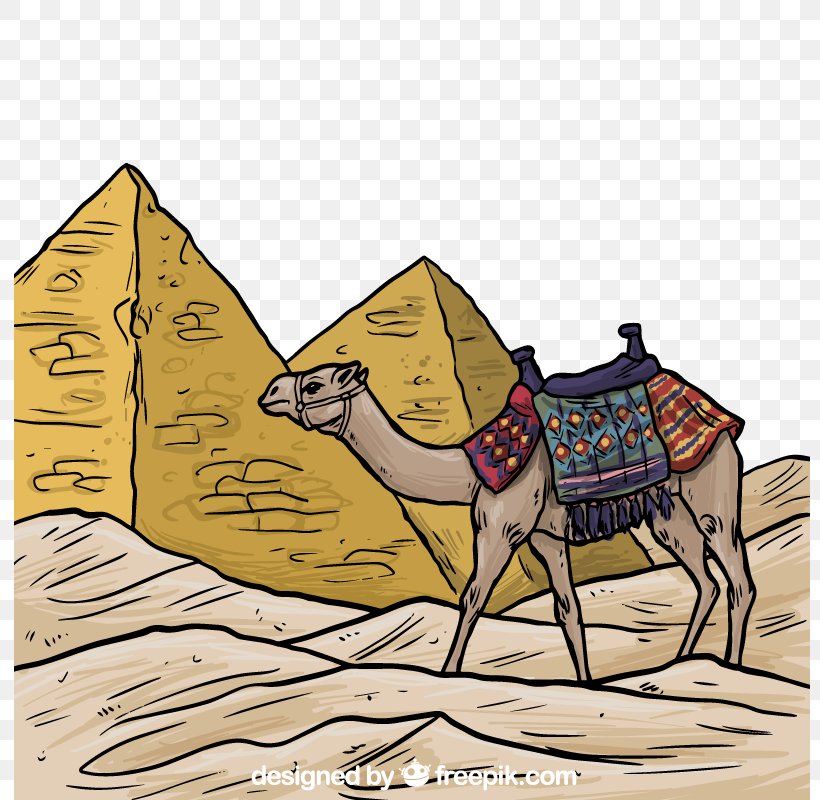 Egyptian Pyramids Bactrian Camel Ancient Egypt Illustration, PNG, 800x800px, Egyptian Pyramids, Ancient Egypt, Ancient History, Arabian Camel, Art Download Free
