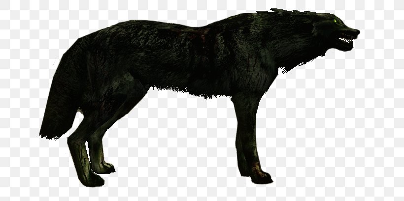 Gray Wolf Fauna Fur Wildlife, PNG, 677x409px, Gray Wolf, Carnivoran, Dog Like Mammal, Fauna, Fur Download Free
