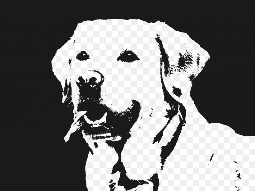Labrador Retriever Illustration, PNG, 4000x3000px, Labrador Retriever, Art, Black, Black And White, Carnivoran Download Free
