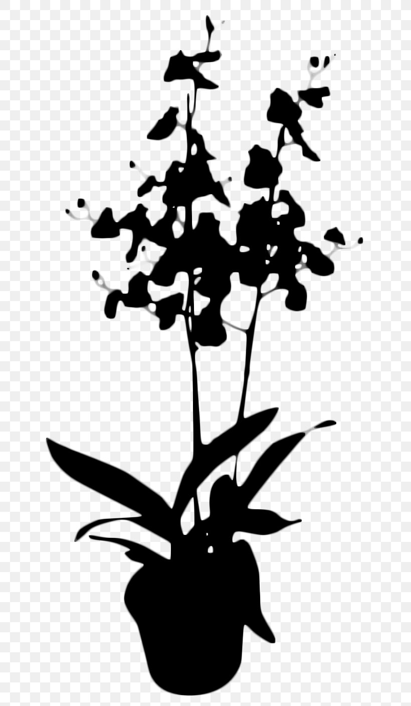 Flower Plant Stem Leaf Silhouette Line, PNG, 709x1407px, Flower, Blackandwhite, Botany, Branching, Flowering Plant Download Free