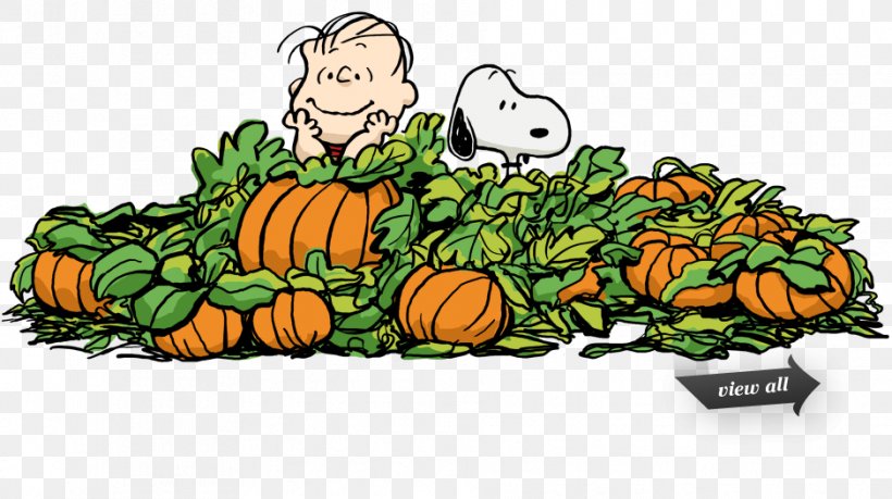 Snoopy Great Pumpkin Charlie Brown Linus Van Pelt Pig-Pen, PNG, 939x526px, Snoopy, Calabaza, Charlie Brown, Cucumber Gourd And Melon Family, Cucurbita Download Free