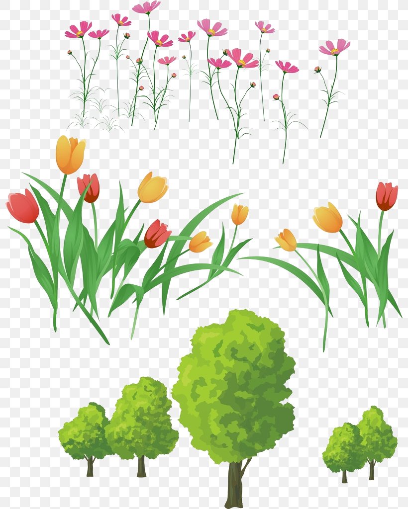 Tulip Flower Download Clip Art, PNG, 798x1024px, Tulip, Art, Branch, Cut Flowers, Flora Download Free