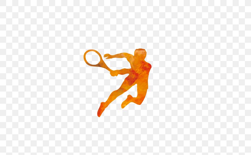 Badminton Sport Tennis, PNG, 560x508px, Badminton, Cdr, Chen Long, Coreldraw, Joint Download Free