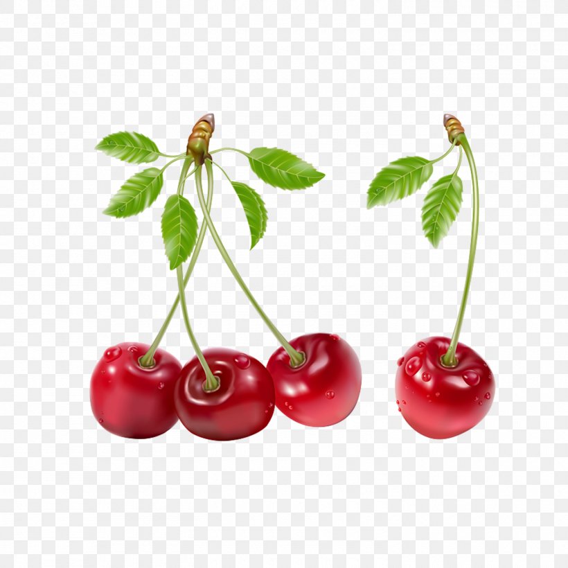 Cherry Fruit Clip Art, PNG, 1500x1500px, Cherry, Acerola, Acerola Family, Apple, Cherry Blossom Download Free