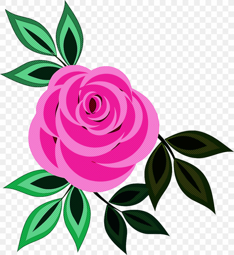 Garden Roses, PNG, 915x1000px, Flower, Bud, Camellia, Cut Flowers, Floribunda Download Free