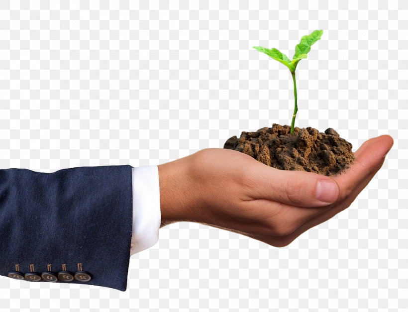 Hand Plant Soil Gesture Flowerpot, PNG, 941x720px, Hand, Flowerpot, Gesture, Plant, Soil Download Free