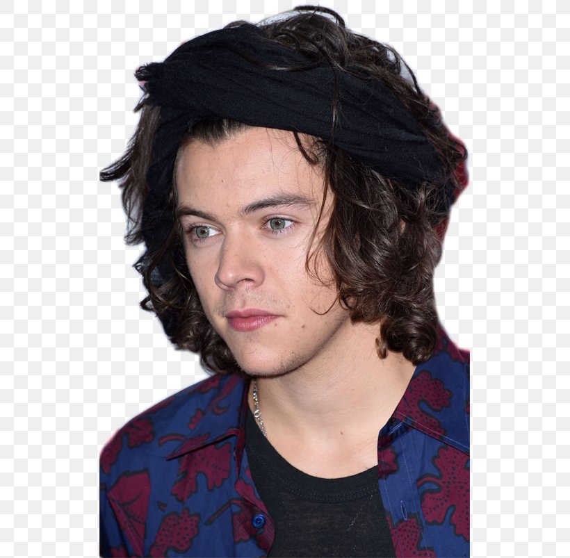 Harry Styles Photography Black Hair, PNG, 533x803px, Harry Styles, Black Hair, Brown Hair, Chin, Forehead Download Free