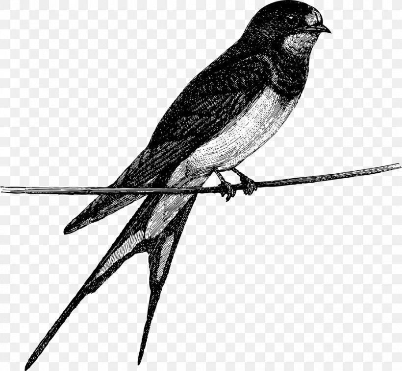 Vector Bird On Branch, PNG, 927x858px, Bird, Animal, Art, Beak, Black And White Download Free