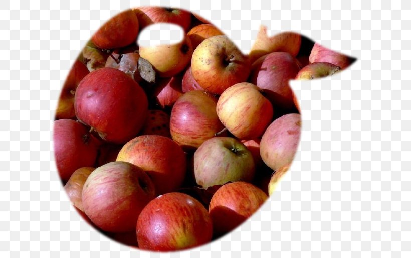 Apple Juice Apple Juice Fruit Food, PNG, 634x514px, Apple, Apple Juice, Auglis, Camu Camu, Cranberry Download Free