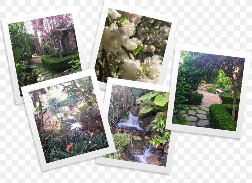 Garden Picture Frames Collage Houseplant Lawn, PNG, 1579x1144px, Garden, Collage, Flora, Grass, Houseplant Download Free