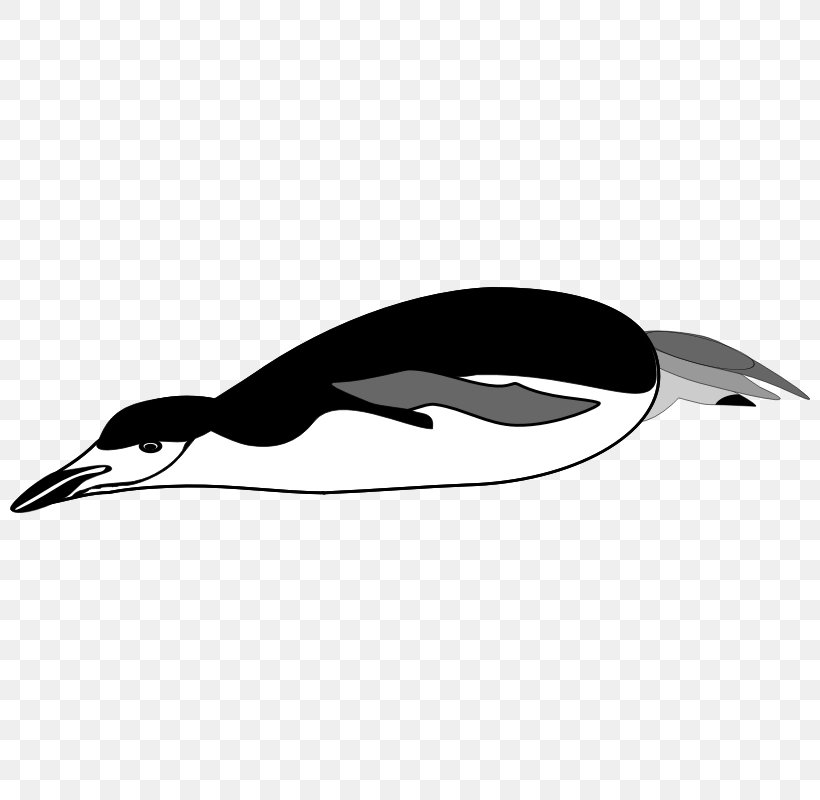 Penguin Drawing Clip Art, PNG, 800x800px, Penguin, Beak, Bird, Black And White, Dolphin Download Free