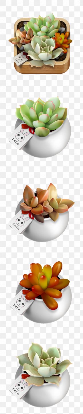 Succulent Plants - Succulent Plant Euclidean Vector Gratis Resource PNG
