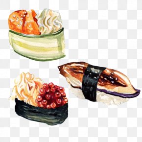 Sushi Fish Hand Drawing Material Picture - Sushi Japanese Cuisine Visual Arts Illustrator Illustration PNG